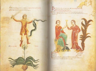 Medicina Antiqua Codex Vindobonensis 93 der Osterreichischen Nationalbibliothek..