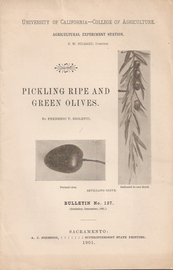 Item #23599 PICKLING RIPE AND GREEN OLIVES. (University of California College of Agriculture Agricultural Experiment Stations Bulletin No. 137). Frederic T. Bioletti.
